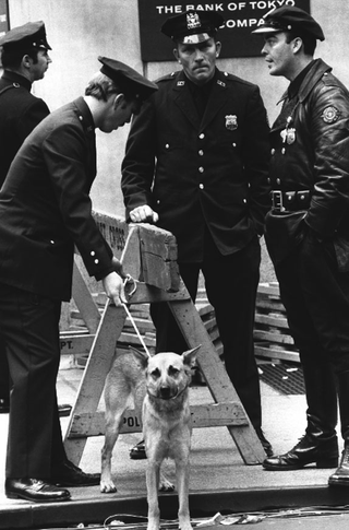 New York, 002-063-19 1968 New York (Stati Uniti)