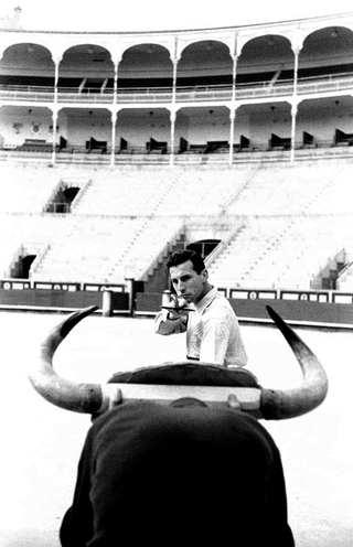 Spagna, 001-034-19
Il torero Valencia durante un allenamento, 1960
Plaza de Toros de Las Ventas, Madrid (Spagna)