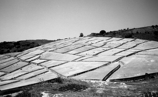 Il Cretto di Burri, 090-164-16
Il Cretto di Burri, 1989
Sicilia (Italia)