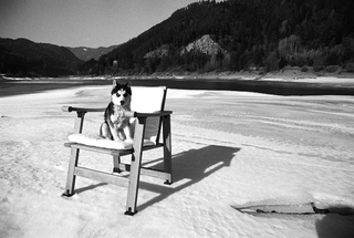 Foppapedretti, 025-235-18 Poltroncina Bazille di Giandomenico Belotti, 1997 Cavalese (Italia)