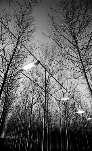 Nemo Illuminazione, 025-213-10 Sistema Bridge di M. Barbaglia e M. Colombo per Italiana Luce (Nemo), 1998