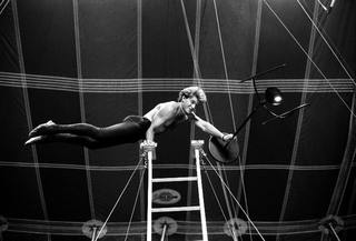 Alias al Circo Medini, 021-047-36
Prodotti Alias, 1988
Circo Medini, Milano (Italia)