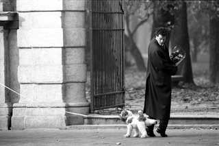 Swatch, 018-197-27
Campagna pubblicitaria Swatch "Spring Summer 1995", 1995
(Italia)