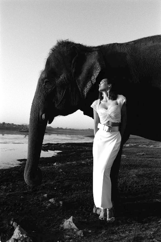 Moda Magazine, 048-137-31
L'amico elefante, 1984
Rajastan (India)