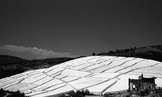 Il Cretto di Burri, 080-030-32
Cretto di Alberto Burri in memoria del terremoto del Belice, 1968, 1989
Gibellina (Italia)